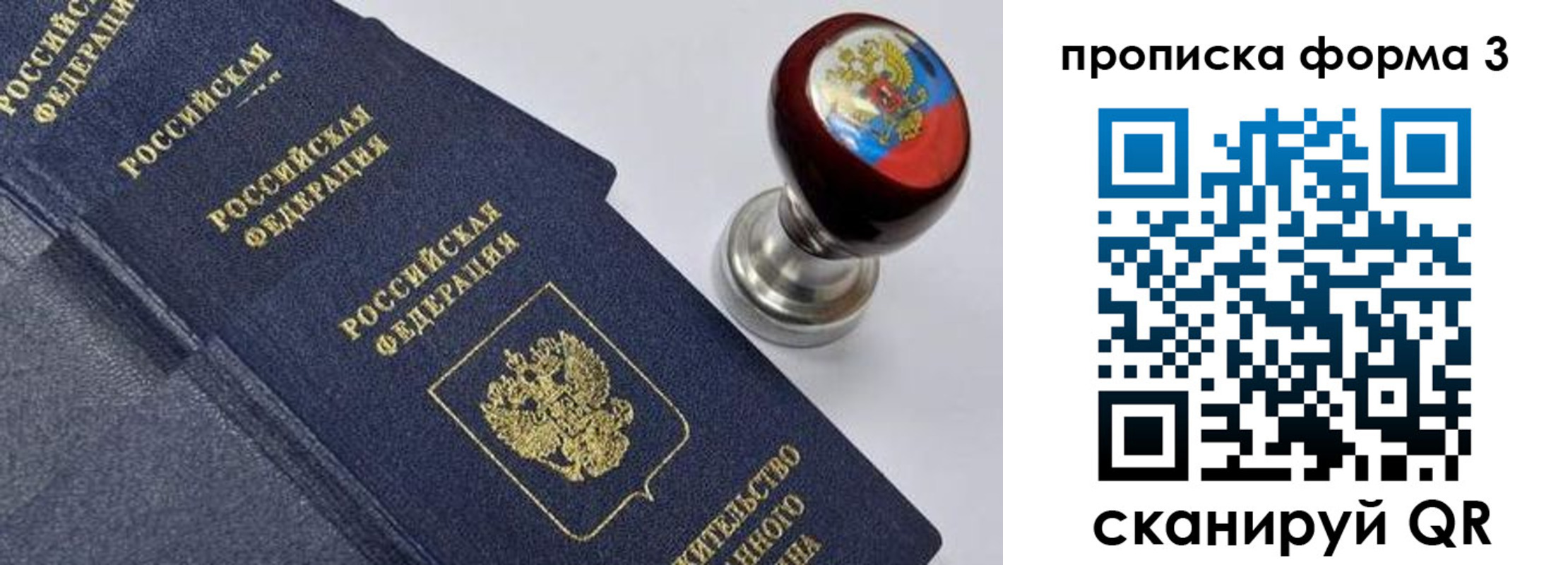 прописка 2025 в Щиграх